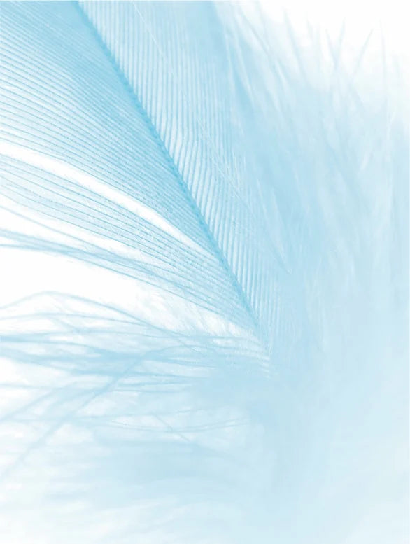 Sensitive Skin Moisturiser — Fragrance Free